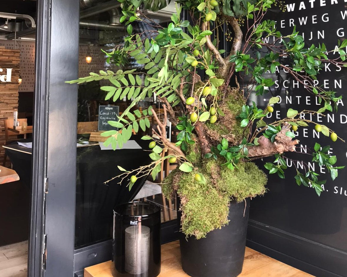 Aankleding Grand Café - 't Hoofd
