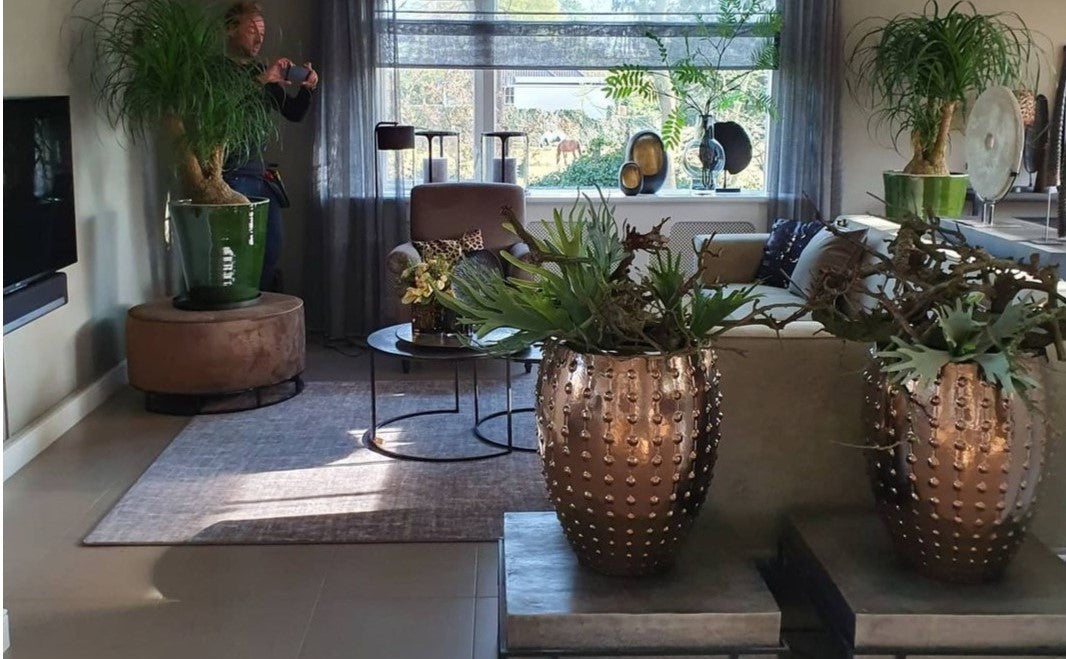Huisstyling