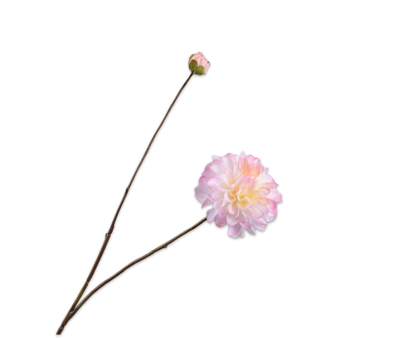 Zijdebloem Dahlia tak roze-wit