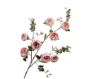 Zijdebloem Roos tak roze