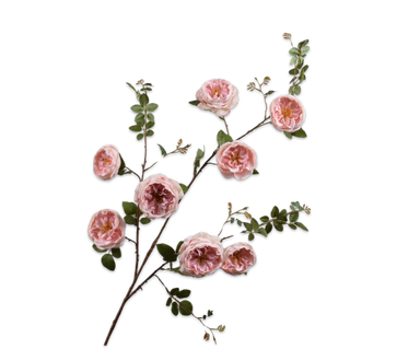 Zijdebloem Roos tak roze