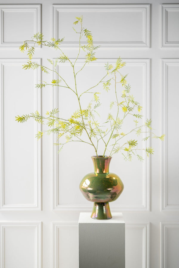 Zijdebloem Mimosa tak groen