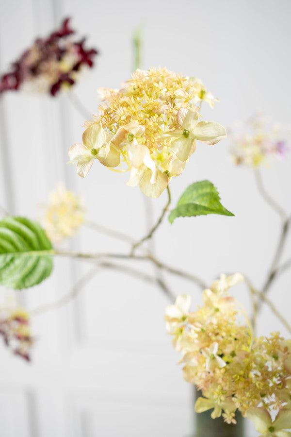 Zijdebloem Hortensiatak crème-groen