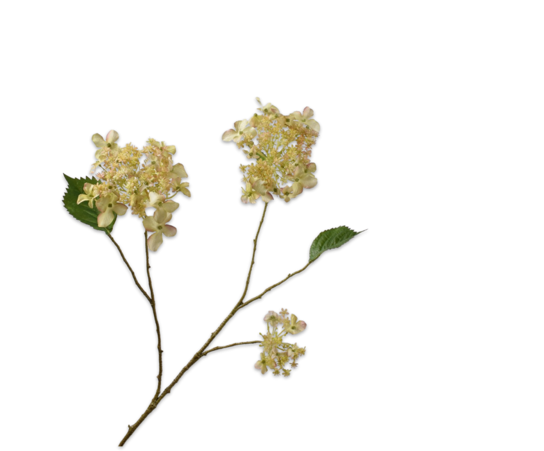 Zijdebloem Hortensiatak crème-groen