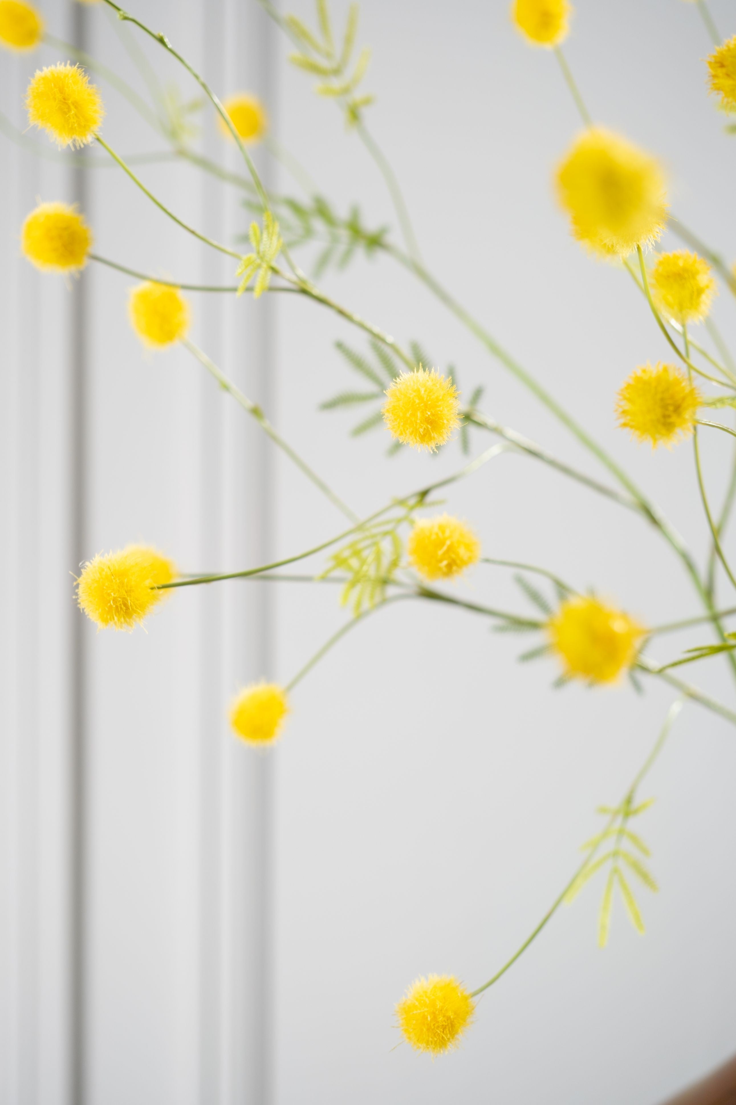 Zijdebloem Mimosa tak geel