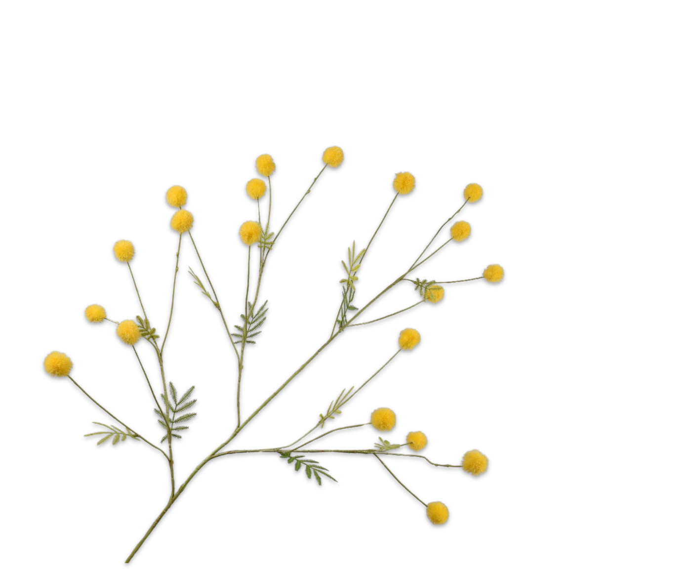Zijdebloem Mimosa tak geel
