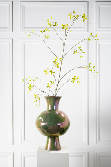 Zijdebloem Bucida tak groen