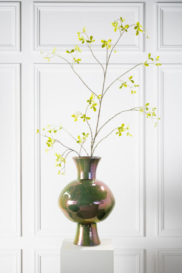 Zijdebloem Bucida tak groen