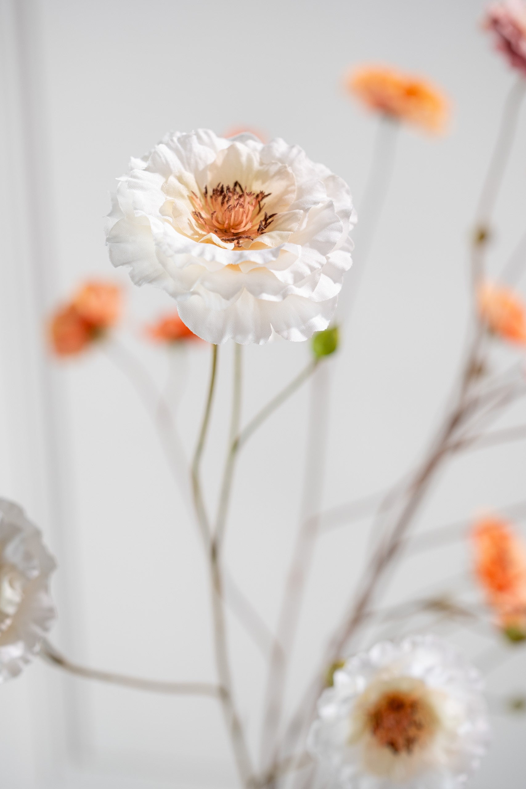 Zijdebloem Ranonkel tak creme