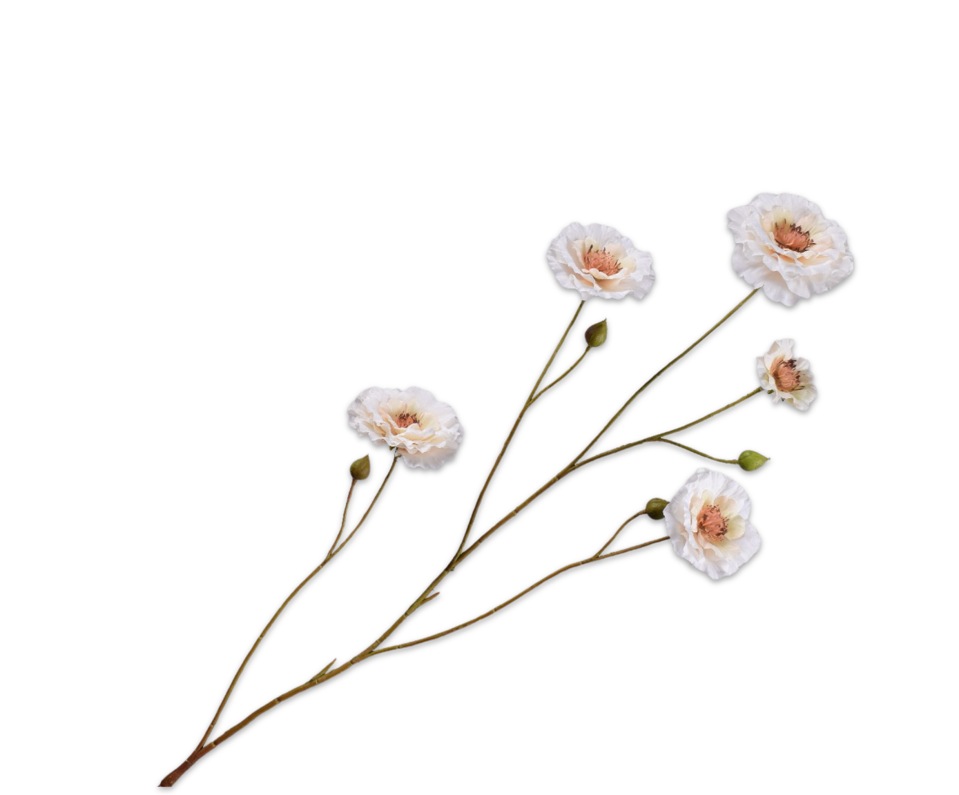 Zijdebloem Ranonkel tak creme
