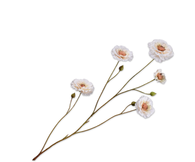 Zijdebloem Ranonkel tak creme