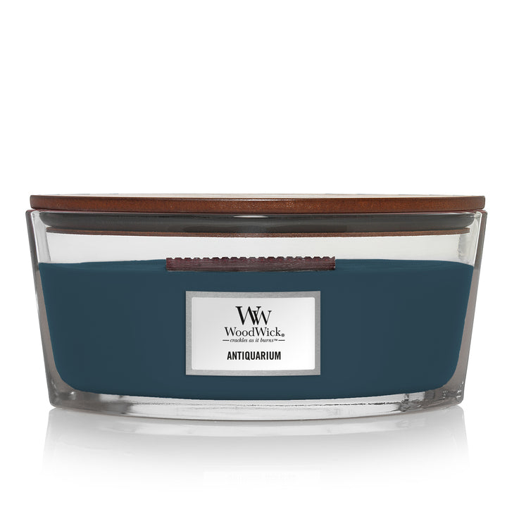 Wood Wick - Antiquarium