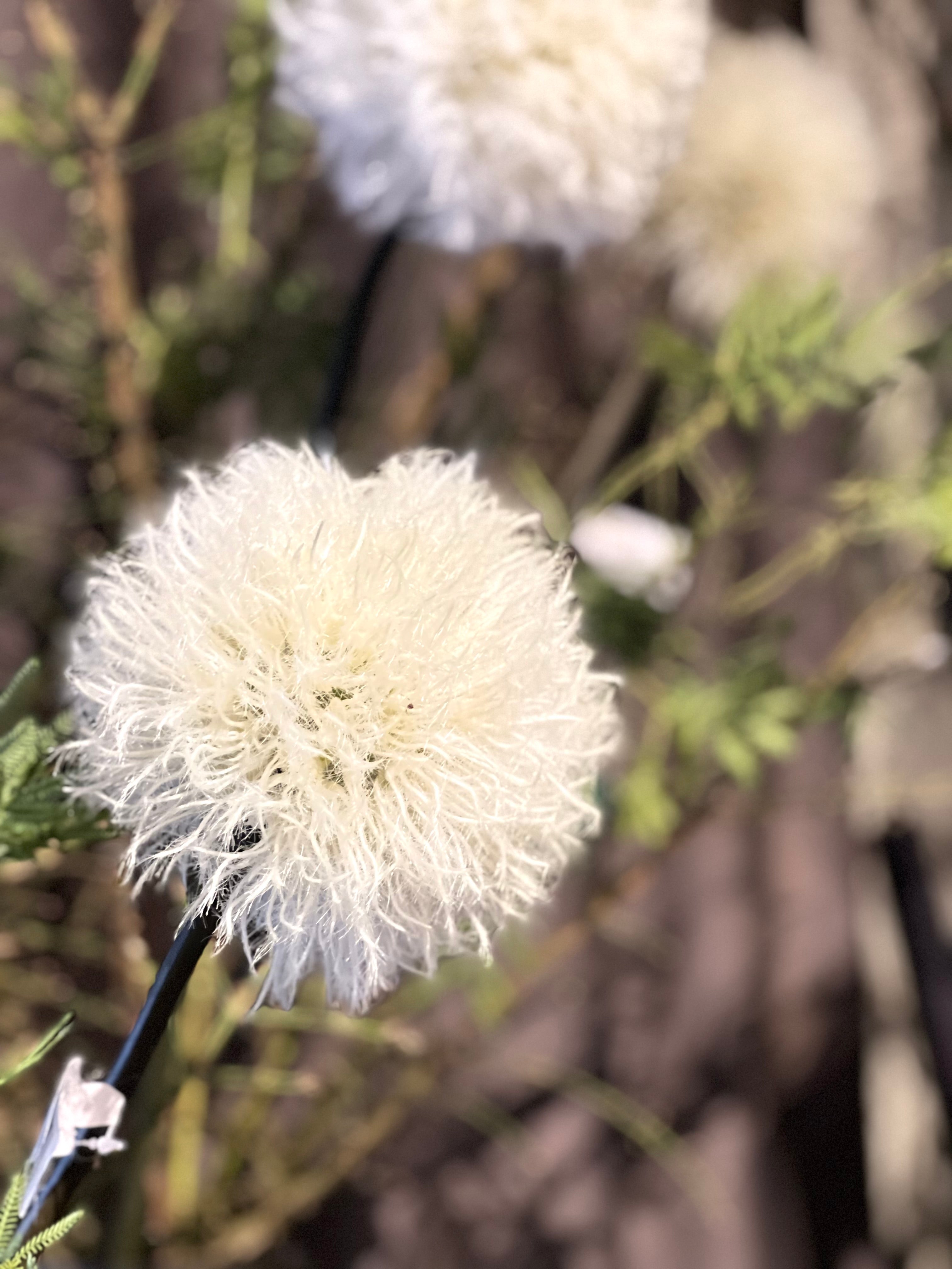 White bowls - Fluffy